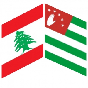 Комитет провел видеоконференцию с помощником в Ливане